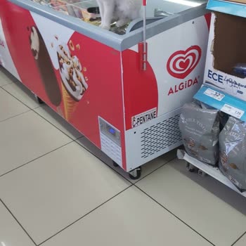 A101 Gıda Ürünleri Üzerinde Sokak Kedisi: Hijyen İhlali Ve Personel Duyarsızlığı