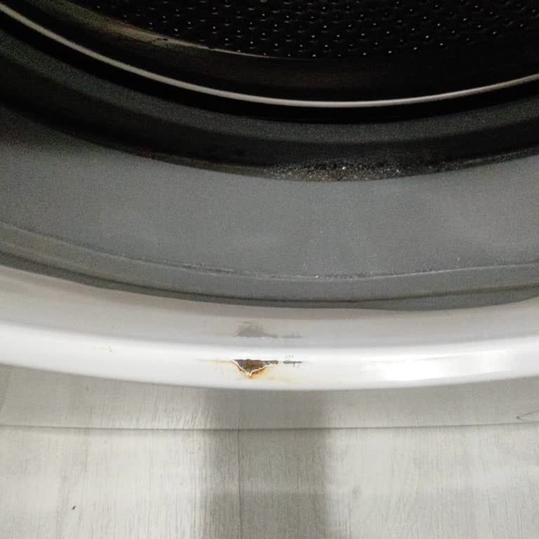 Vestel Çamaşır Makinesinin Garanti Kapsamındaki Paslanma Sorunu İçin Ücretsiz Parça Değişimi Talebi