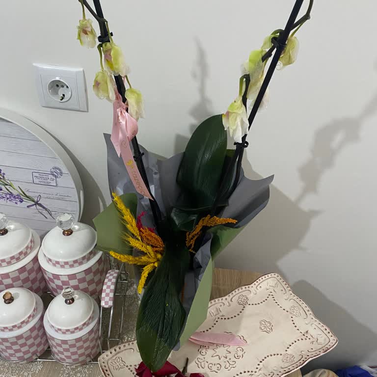 Ölü Orkide Teslim Edildi, Müşteri Hizmetine Ulaşılamıyor