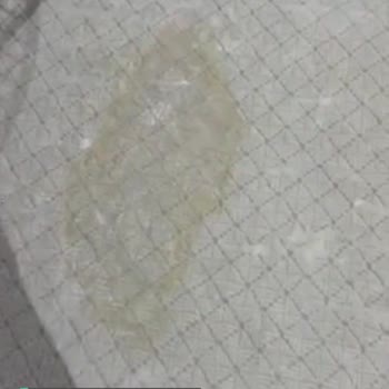 Evkur Halı Lekeleri Çıkmıyor