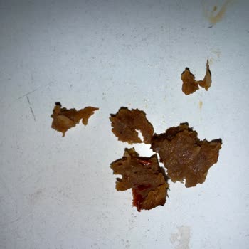 Dürümde Kıkırdak Ve Kemik Parçaları Bulunması Nedeniyle İade Talebi