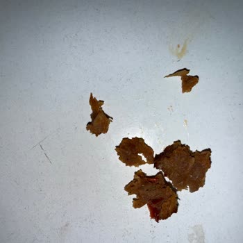 Dürümde Kıkırdak Ve Kemik Parçaları Bulunması Nedeniyle İade Talebi