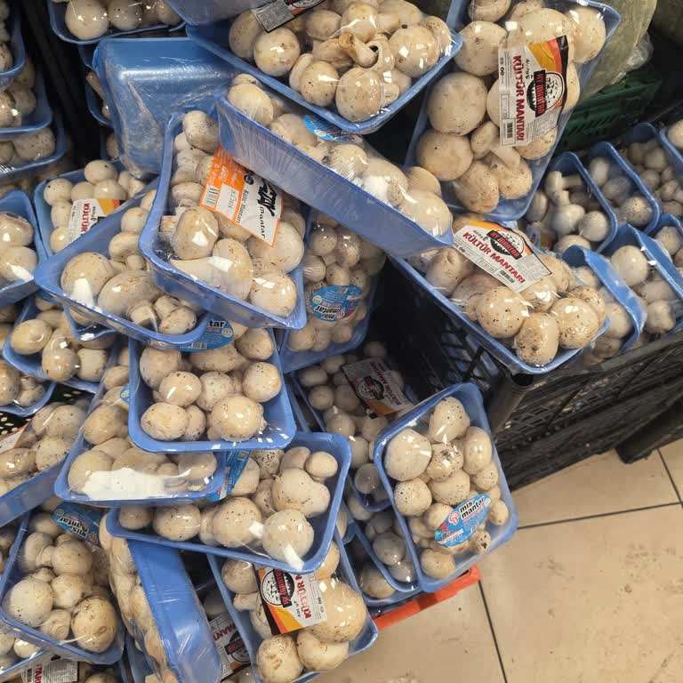 Üsküdar Happy Center’da Mantarların Bozulmuş Ve Böcekli Olması, Görevlinin Kayıtsız Kalması