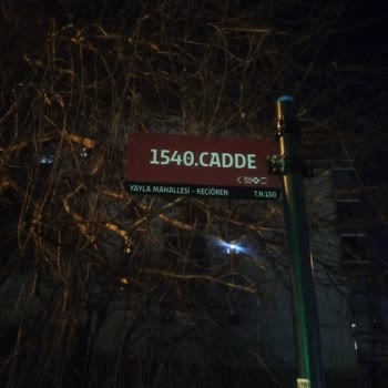 Ankara Keçiören’de Kasis Eksikliği Vatandaşları Ve Hayvanları Tehlikeye Atıyor