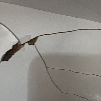 Plastik Su Deposu Değişiminden Sonra Oluşan Sızıntı Ve Mutfak Kabarması İçin Tazminat Talebi