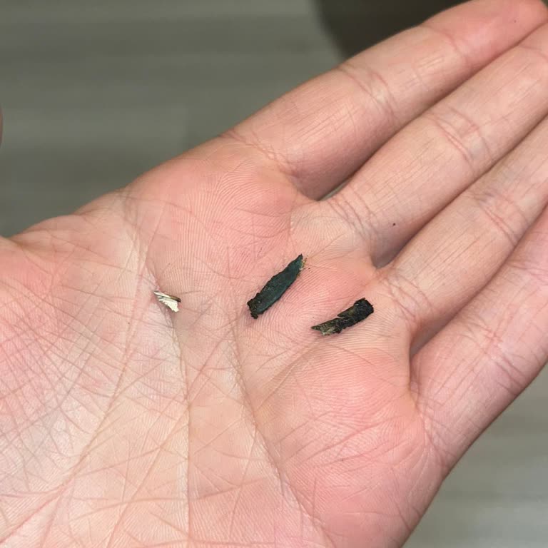 Bat Kent Sigara İçinde Plastik Benzeri Yabancı Madde Tespit Edildi