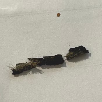 Bat Kent Sigara İçinde Plastik Benzeri Yabancı Madde Tespit Edildi