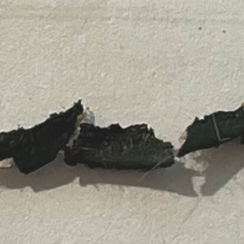 Bat Kent Sigara İçinde Plastik Benzeri Yabancı Madde Tespit Edildi