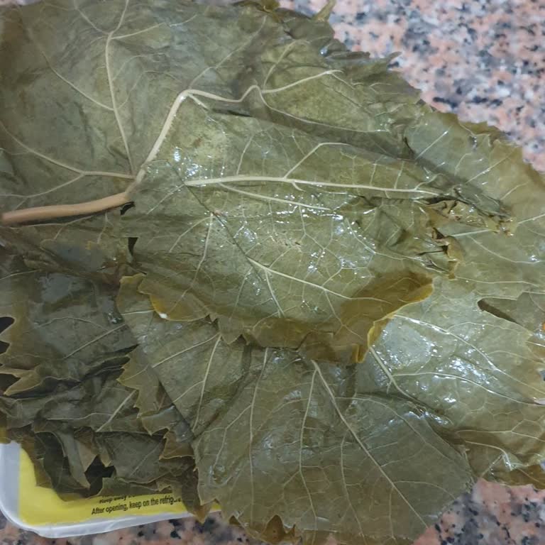 Alatat Salamura Yapraklar Büyük Boy ve Kart