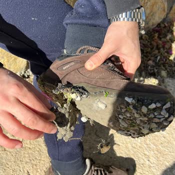 Scooter Botta Sorunlar