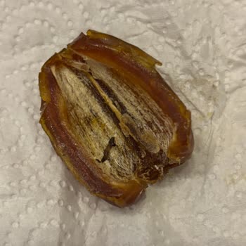 Kurtlu Medine Hurması İçin Tam İade Ve Güven Yeniden Sağlanması