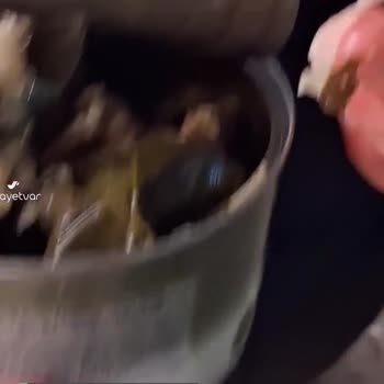 Bizim Vatan Sarmadan Plastik Çıktı!