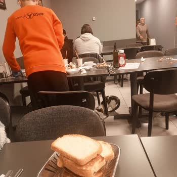 Patili Dostların Dışlanması, Sokak Kedilerine Serbest Geçiş Tutarsızlığı