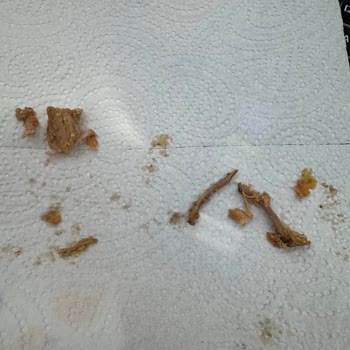 Zurna Dönerinde Uzun Tavuk Kemiği Dişleri Zedeledi Ve Kalitesiz Et Sağlık Tehdidi