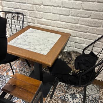 Kedi Masada, Personel Çözüm Sunamıyor