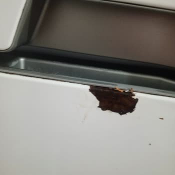 Vestel Buzdolabı Ve Çamaşır Makinesinde Paslanma Sorunu Ve Ücretsiz Servis Talebi