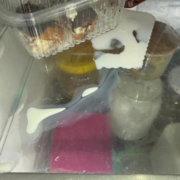 Açılmamış Torku Süt Paketi Sızdırıyor, Tekrar Eden Ambalaj Sorunu