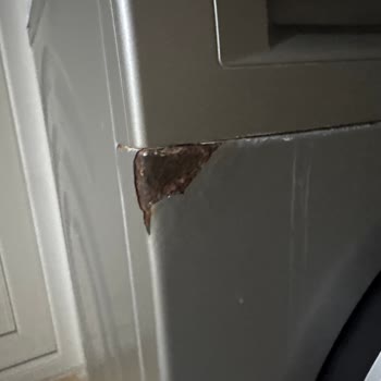 Bosch Çamaşır Makinesi Paslanıyor, Buzdolabı Rengi Soluyor: Kısa Sürede Kırılgan Kalite