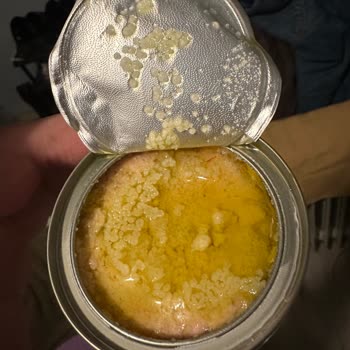 Dardanel Ton Balığı Konservelerinde Yabancı Maddeler Ve İade Talebi