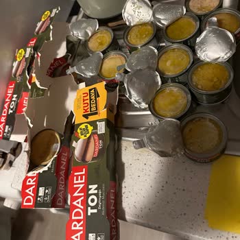 Dardanel Ton Balığı Konservelerinde Yabancı Maddeler Ve İade Talebi