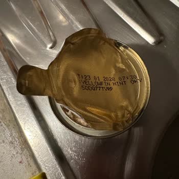 Dardanel Ton Balığı Konservelerinde Yabancı Maddeler Ve İade Talebi