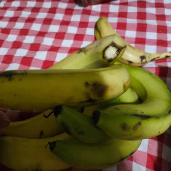 Getirçarşı&nbsp; Kağıthane Deposu Gıda Kalitesi Ve Güvenliği İhlali