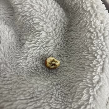 Bozuk Karışık Kuruyemiş Ürünü İçin Değişim Talebi