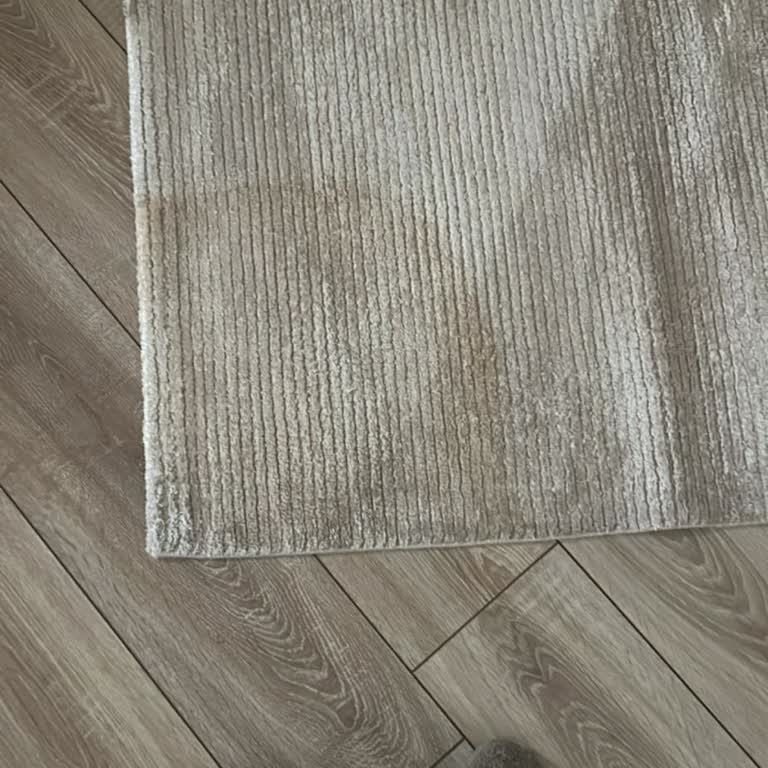 Ücret Fazlası Ve Temizlenmemiş Halı Şikayeti