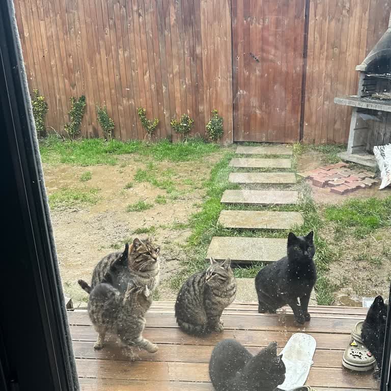 Shu Riva Country Isıtma Yok, Misafir İhmal Edildi!