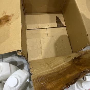 Kargo Paketleme Hatası Nedeniyle Patlayan Ürünlerin Hızlı Değişimi Talebi