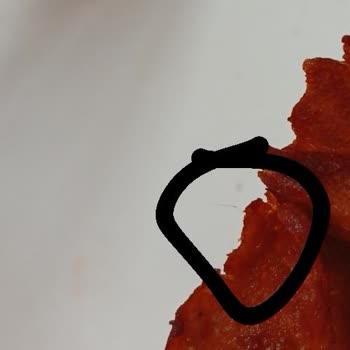 Lezita Piliç Karışık Dönerde Kıl Bulunması Hijyen İhlali Olarak Değerlendirildi