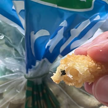 Torku Soğan Halkasında Plastik Yabancı Cisim Keşfedildi