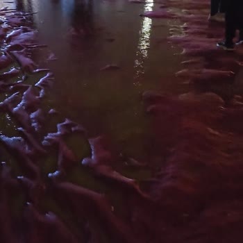 Yağışlı Hava Nedeniyle Bilet İadesi Reddedildi Ve Çamurda Konser İzlenemedi