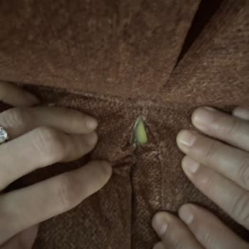 Ergül Mobilya’da Koltuk Takımının Kısa Sürede Yırtılması Ve Kumaş Sorunları