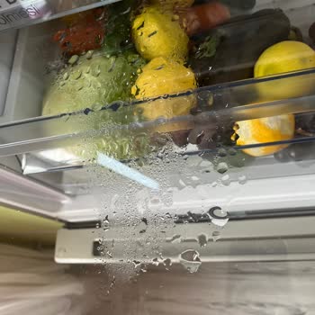 Sebzelik Bölümünde Su Birikintileri Ve Raflarda Küflenme Sorunu Nedeniyle Ürün Değişimi Talebi