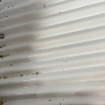 Sebzelik Bölümünde Su Birikintileri Ve Raflarda Küflenme Sorunu Nedeniyle Ürün Değişimi Talebi