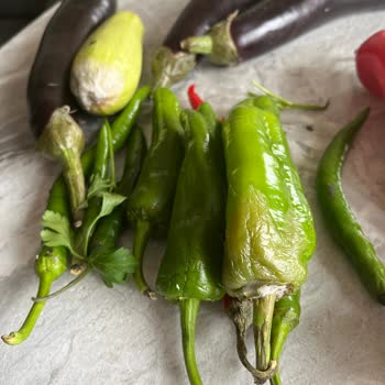 Sebzelik Bölümünde Su Birikintileri Ve Raflarda Küflenme Sorunu Nedeniyle Ürün Değişimi Talebi