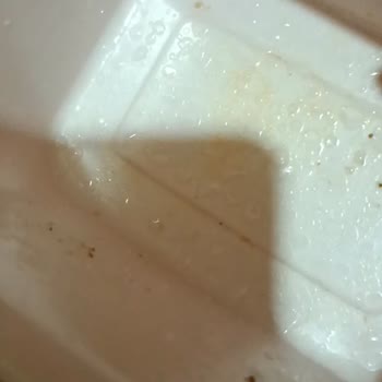 SEG BM-4001 Şef Bulaşık Makinesinin Temiz Yıkamaması Ve Servisin Çözüm Sağlayamaması