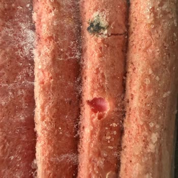 Migros'tan Çilekli Kedidili Bisküvinin İçindeki Siyah Oluşumlar Tüketici Sağlığını Tehdit Ediyor