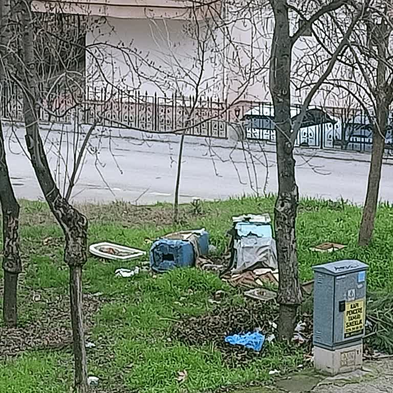 Esentepe Mahallesi’ndeki İşlevsiz Kedi Barakalarının Kaldırılması Talebi