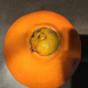 Organik Portakal Siparişinde Yanıltıcı Ürün Ve Az Miktar Şikayeti