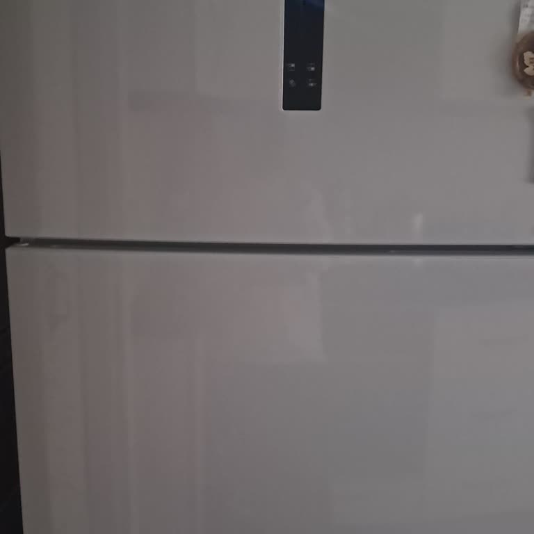 Yoğun Koku Ve Gıdaların Bozulması Nedeniyle Buzdolabı İadesi