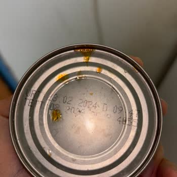 Silik Son Kullanma Tarihi Ve Bozuk Ton Balığı Nedeniyle Mide Bulantısı Ve Karın Ağrısı