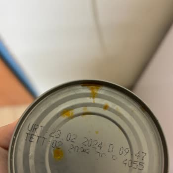 Silik Son Kullanma Tarihi Ve Bozuk Ton Balığı Nedeniyle Mide Bulantısı Ve Karın Ağrısı