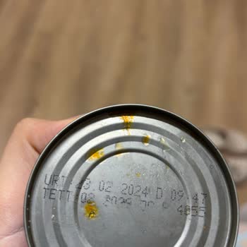 Silik Son Kullanma Tarihi Ve Bozuk Ton Balığı Nedeniyle Mide Bulantısı Ve Karın Ağrısı