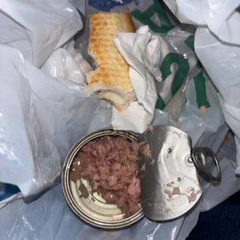 Silik Son Kullanma Tarihi Ve Bozuk Ton Balığı Nedeniyle Mide Bulantısı Ve Karın Ağrısı