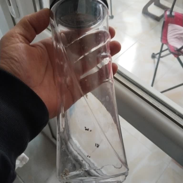 WhatsApp Üzerinden Yedek Parça Talebime Cevap Gelmemesi