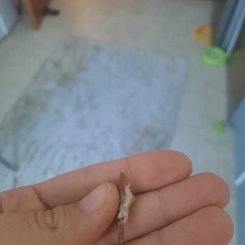 A101 Tahta Parçası İçeren Ekmekte Hijyen İhlali Ve Saygısız Çalışan Tutumu