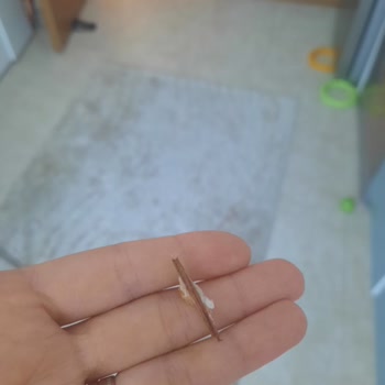 A101 Tahta Parçası İçeren Ekmekte Hijyen İhlali Ve Saygısız Çalışan Tutumu