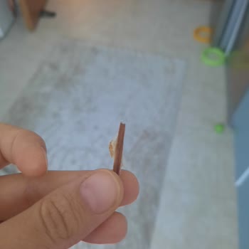 A101 Tahta Parçası İçeren Ekmekte Hijyen İhlali Ve Saygısız Çalışan Tutumu